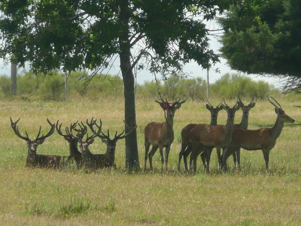 Photograph by Willian Izzi