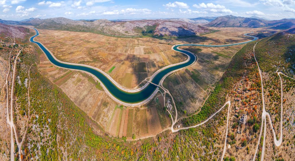 Змейка жизни