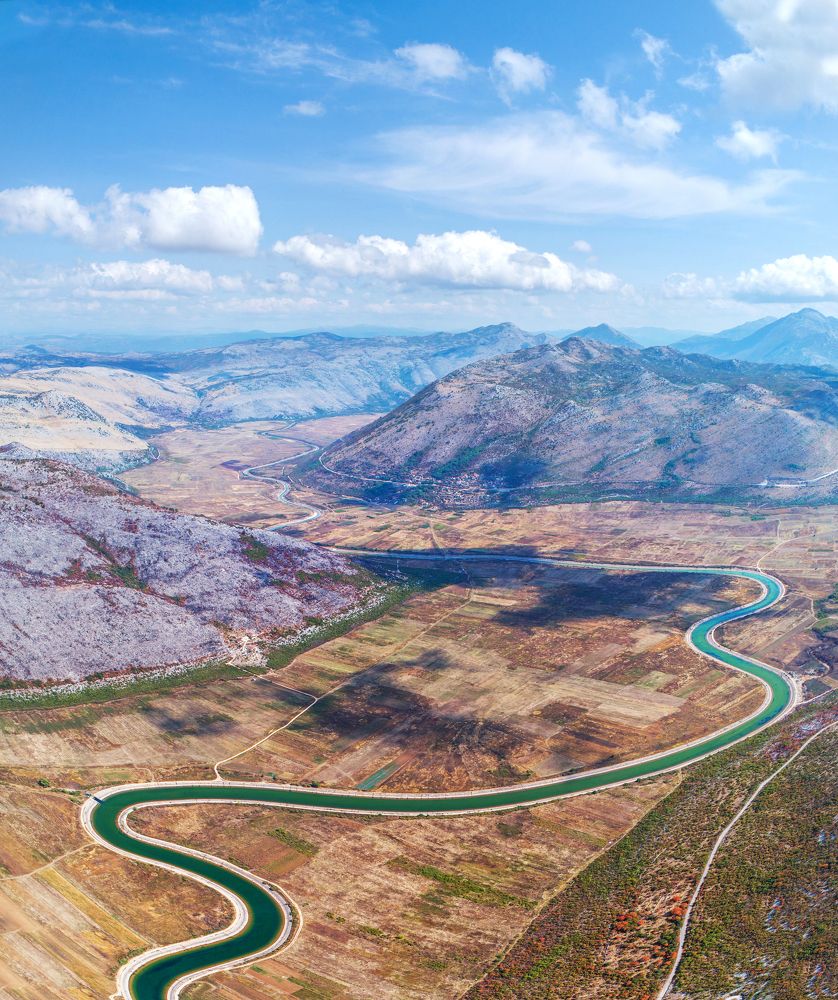 Змейка жизни