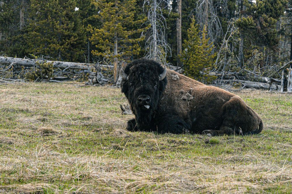 Photograph by Olga Serebryannaya