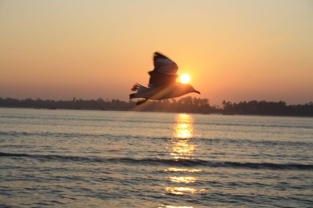 Photograph by Mohammad Masud