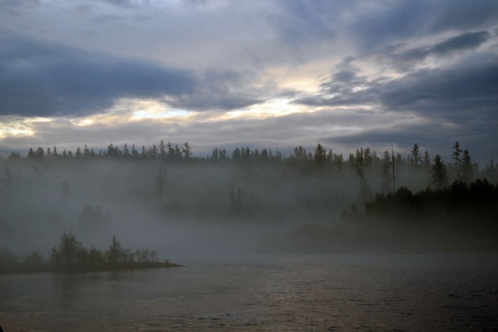 Туманы, туманы...