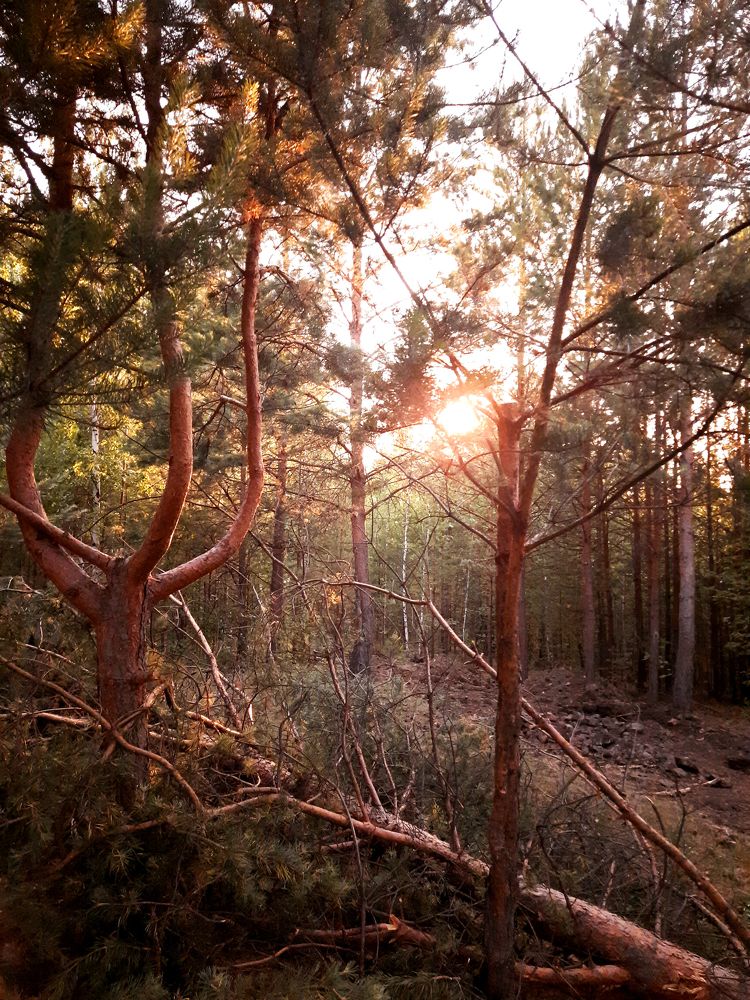 Photograph by Юлия Полякова