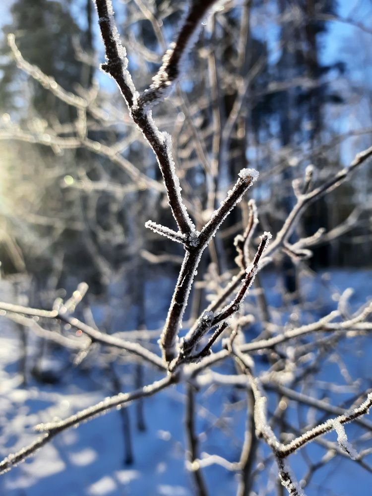 Photograph by Юлия Полякова
