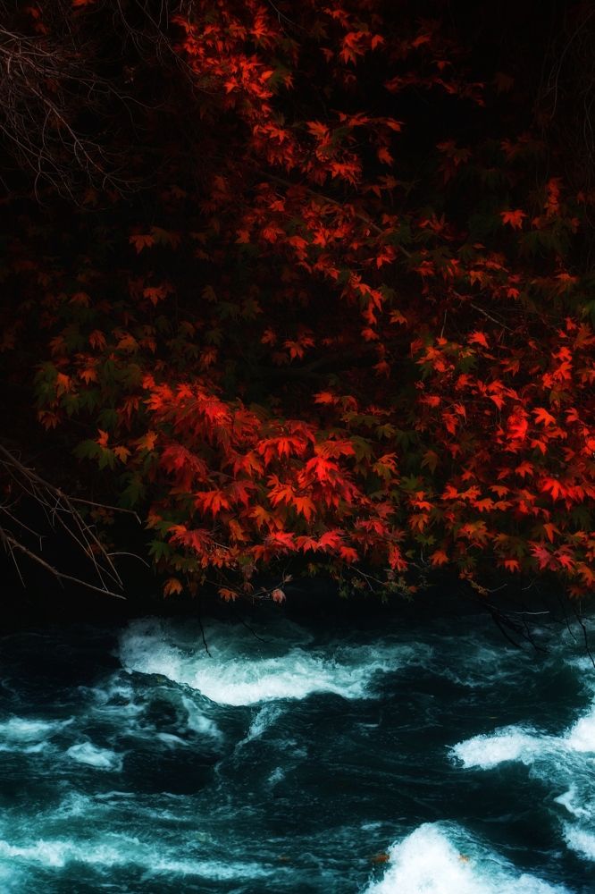 Photograph by Mohammad Javady