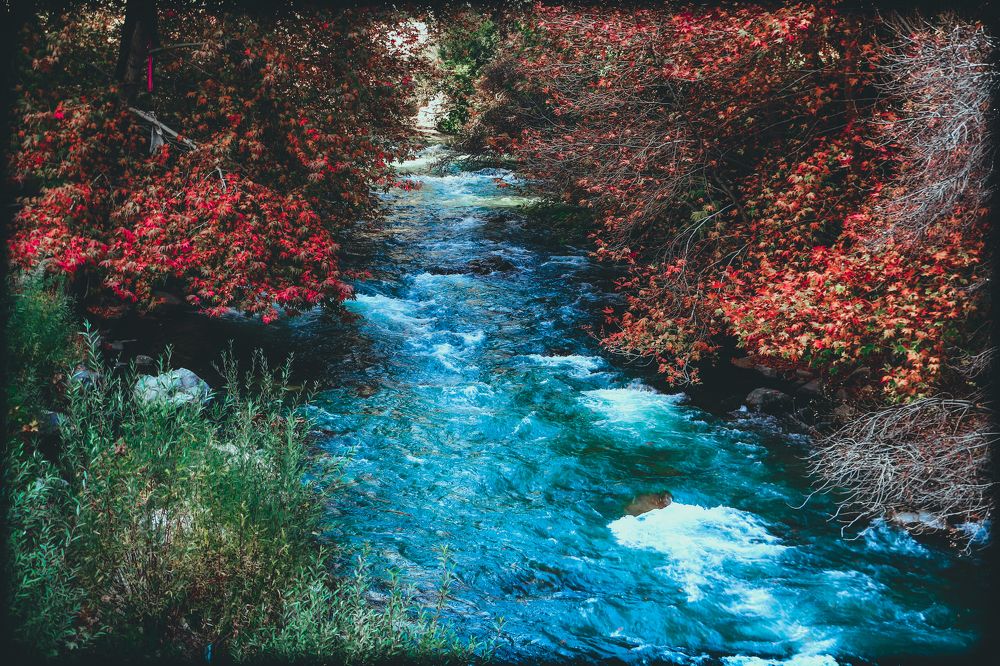 Photograph by Mohammad Javady