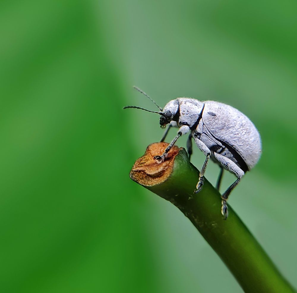 Photograph by Abhiram R