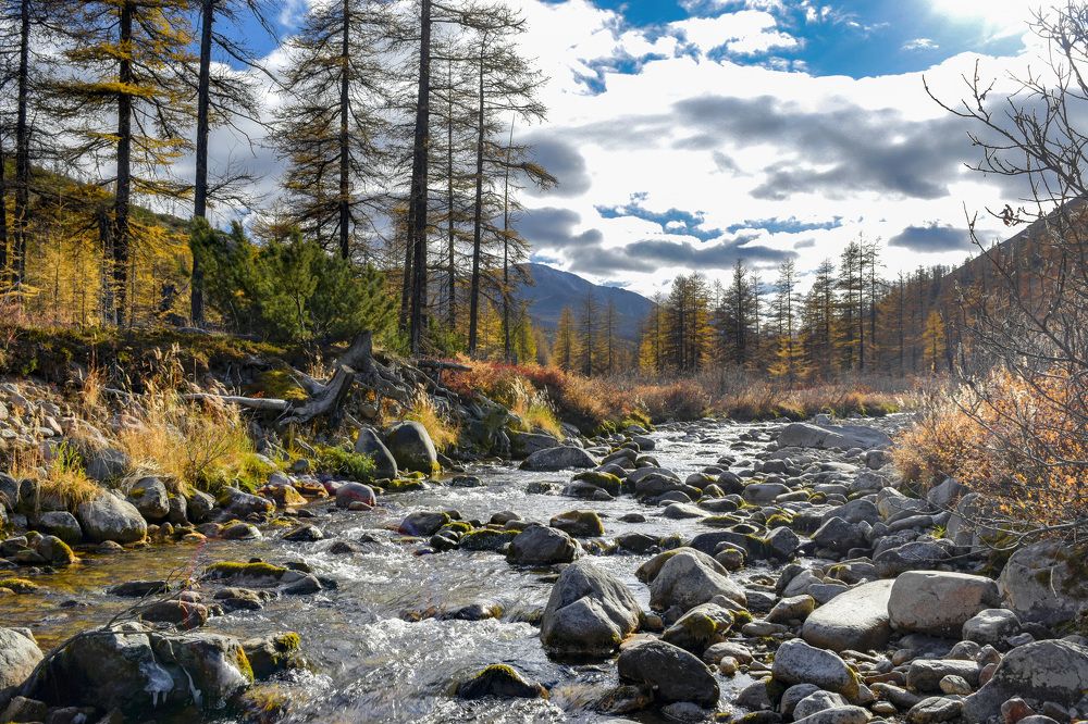 Photograph by Елена Осколкова