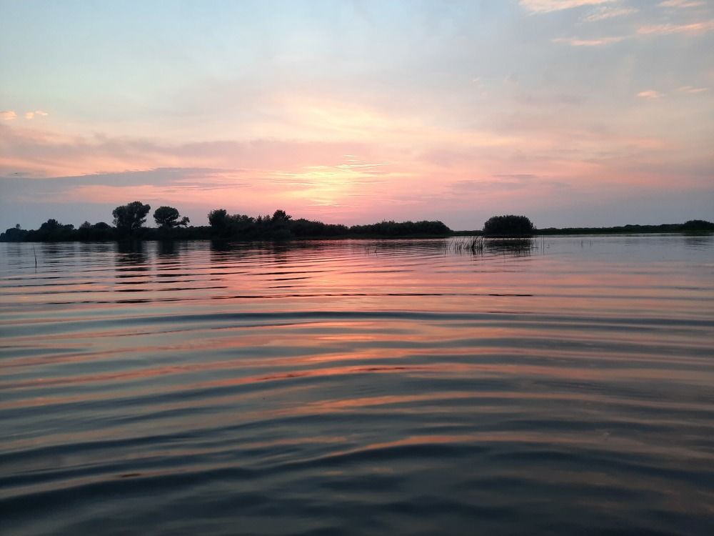 Фотография автора Елена Пикатова