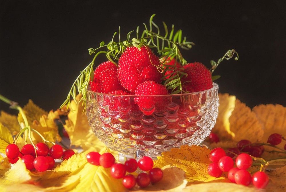 Photograph by Лукина Валентина