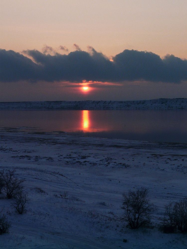 Photo #6276390