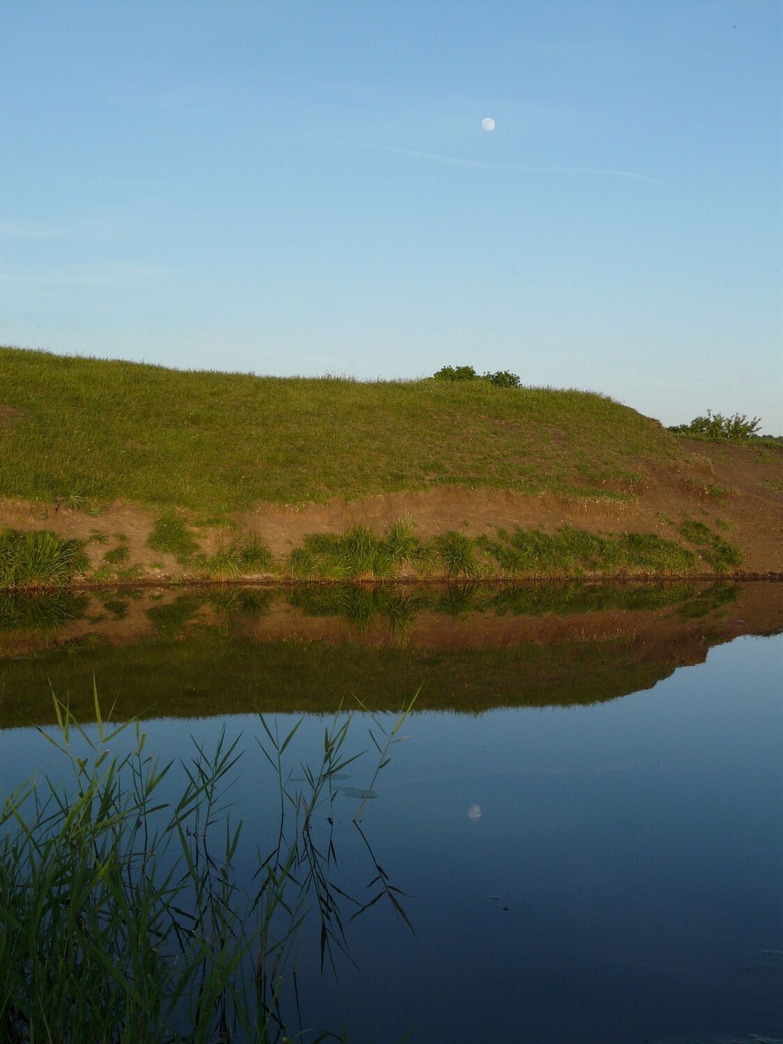 Photo #6276400