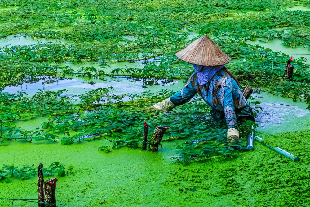 Фотография автора NeCoTi ChonTin