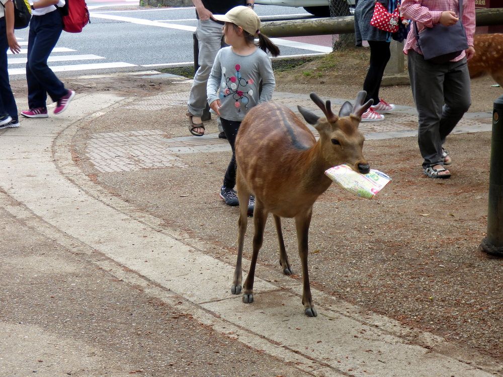 Photograph by Pjotr Alekseev