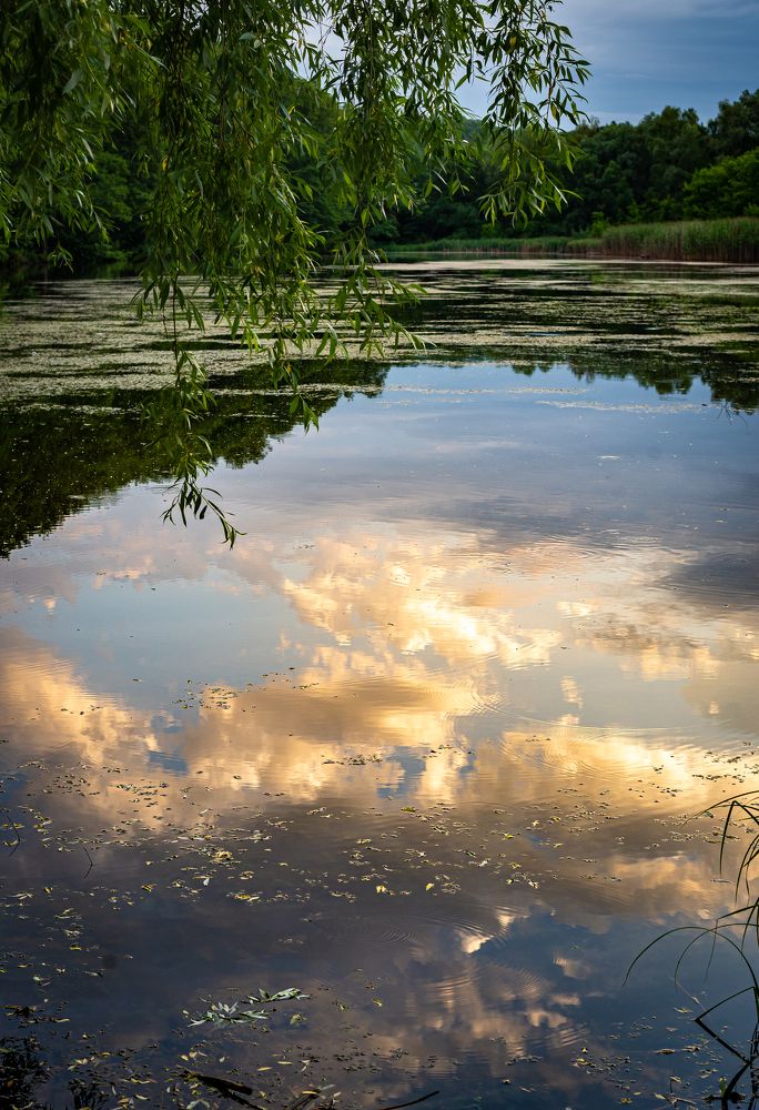 Photograph by Богдан Прохоренко