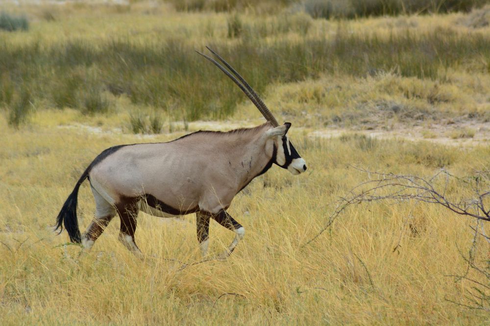 Photograph by Анатолий Орлов