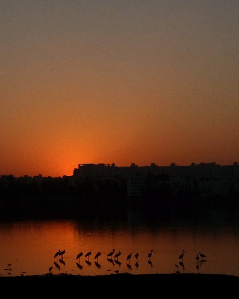 Photograph by Udhayakumar Saravanan