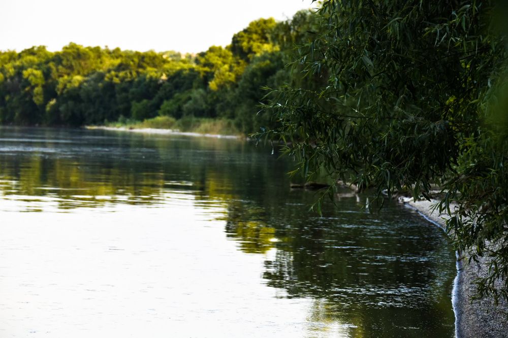 Photograph by Ирина Рыжая