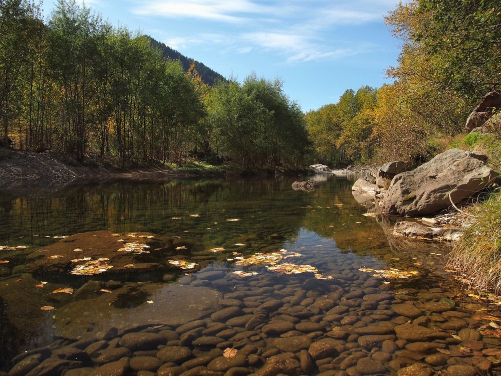 Photograph by Александр Попов