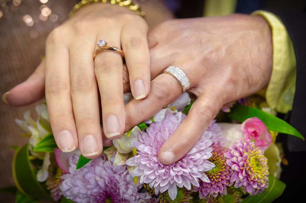 Фотография автора Majid Varasteh