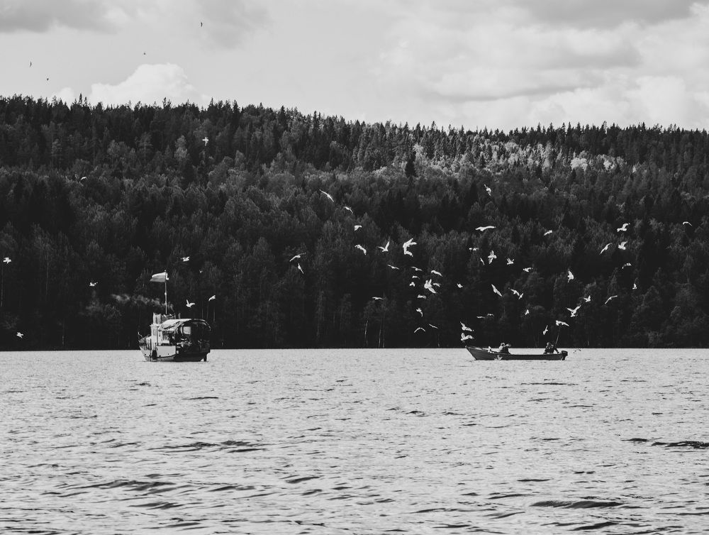 Photograph by Ника Киреева