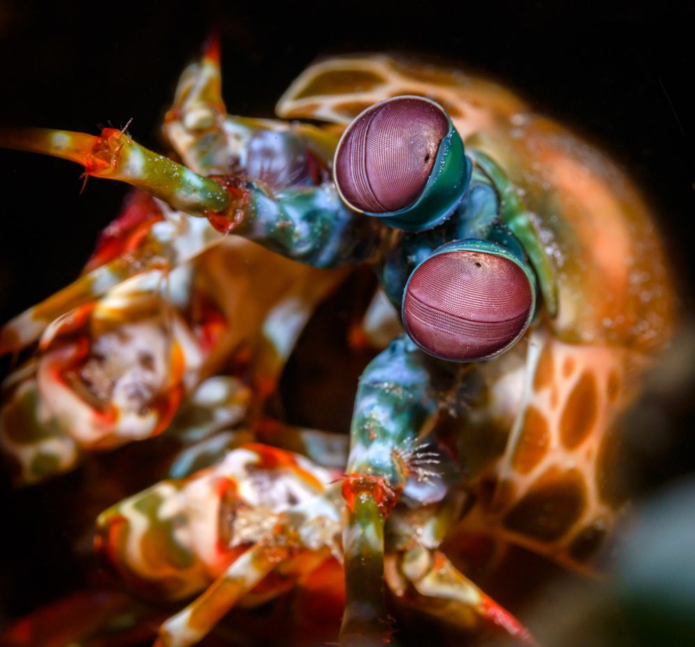 Photograph by Андрей Савин