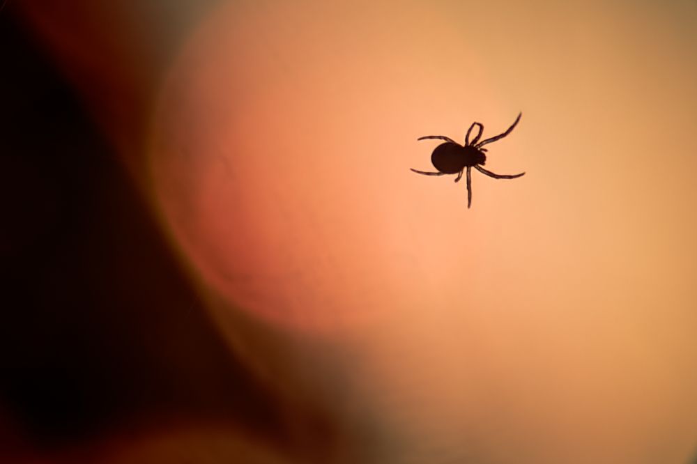 Photograph by Максим Лукманов