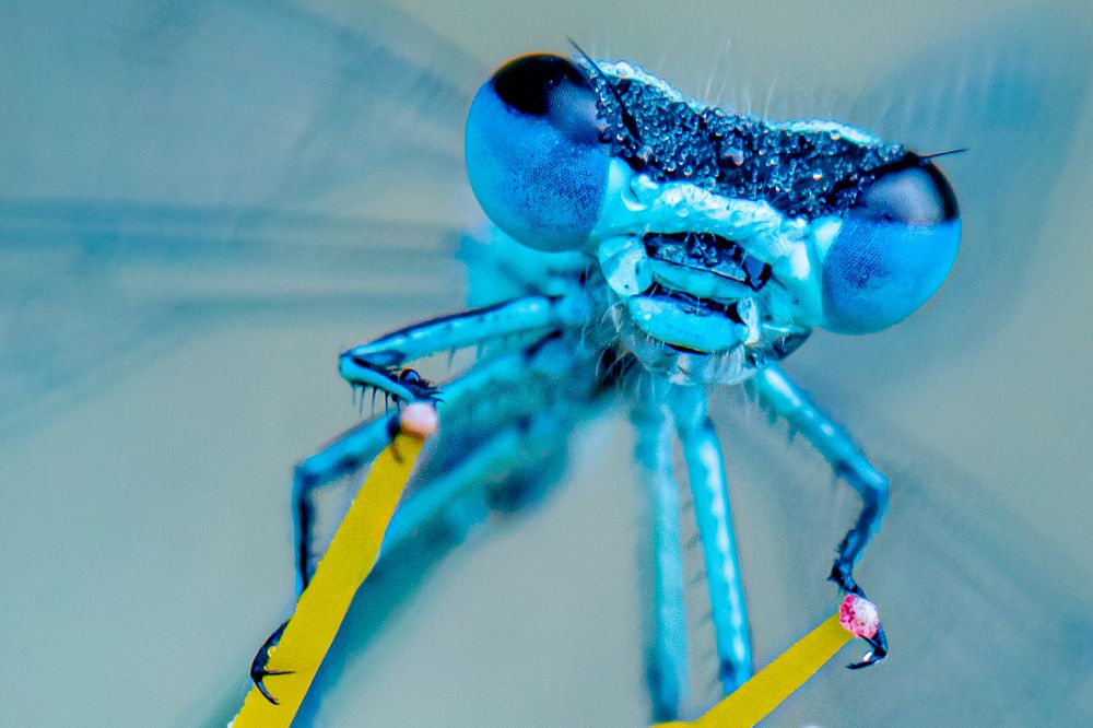 Photograph by Ellen Lichtenheldt