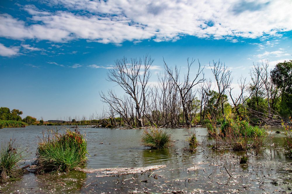Photograph by Вероника Новикова