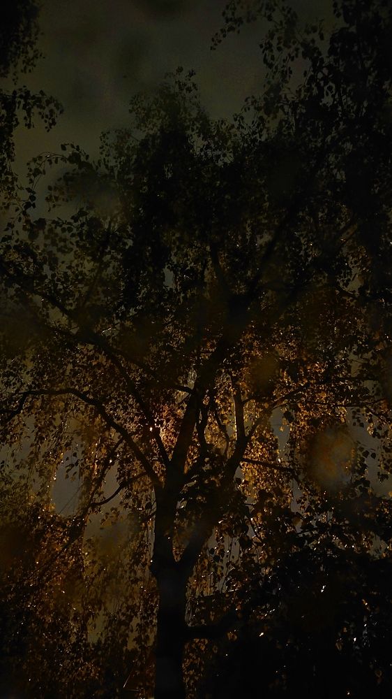 Золото на голубом