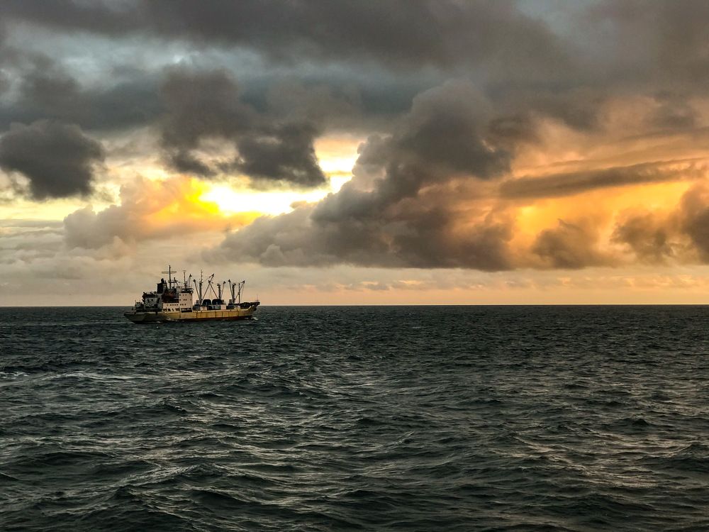 Тревожное небо