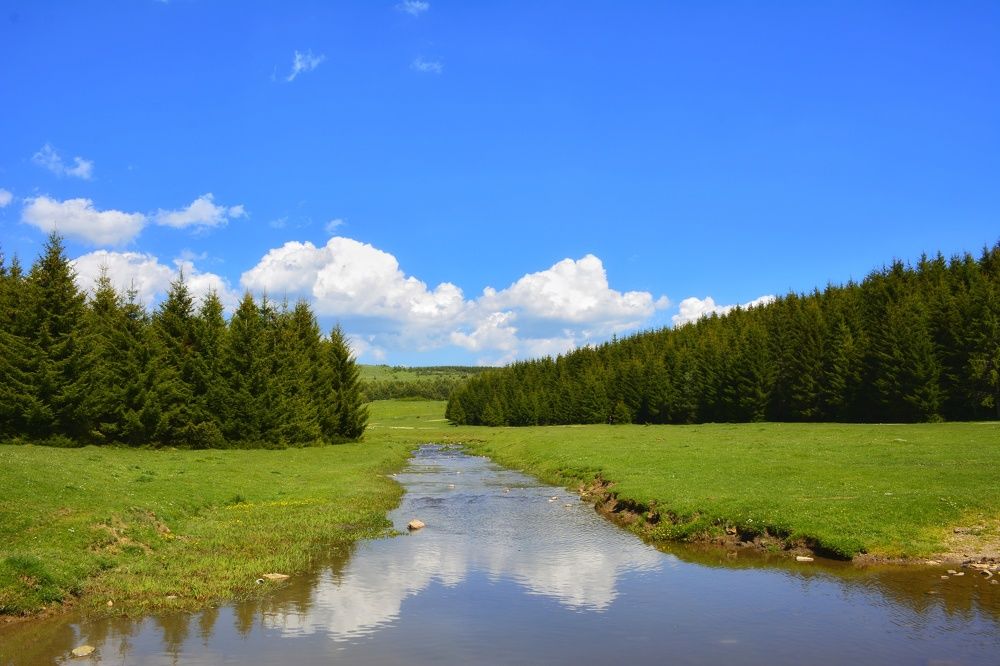 Photograph by Edin Masovic