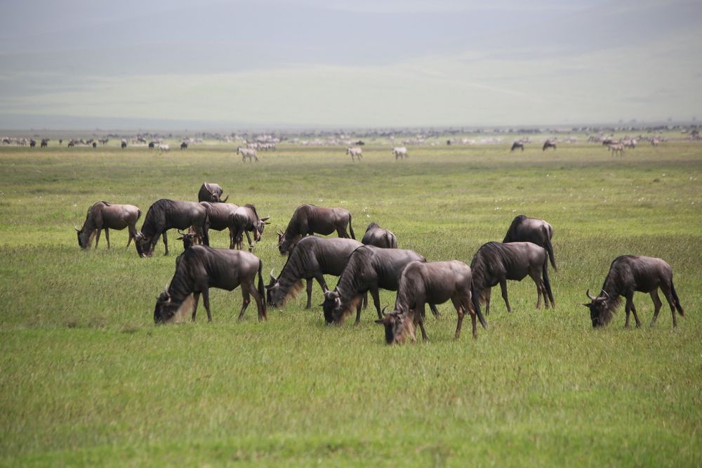 Photograph by Александр Юдин