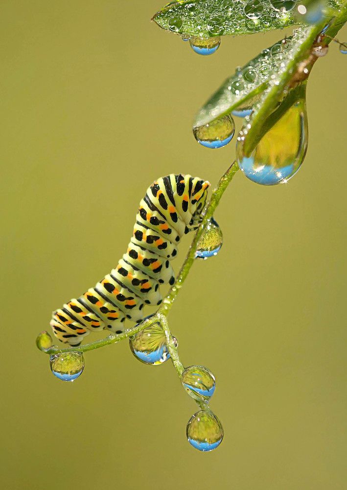 Фотография автора Andrey Pristyazhnyuk