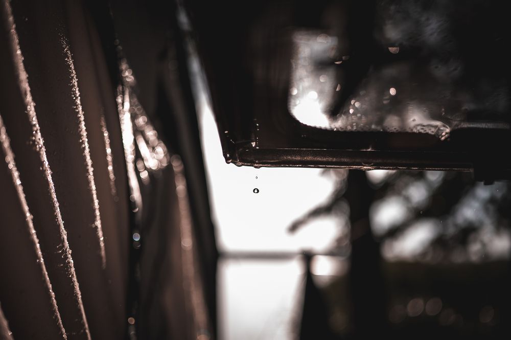 Photograph by Anna Górka