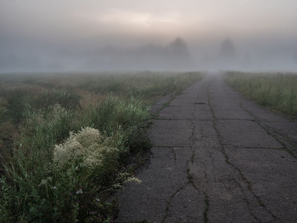Дорога к реке.