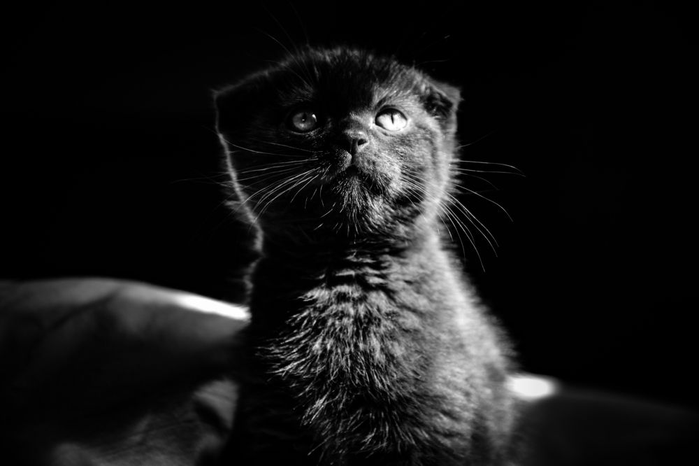 Photograph by Егор Колягин