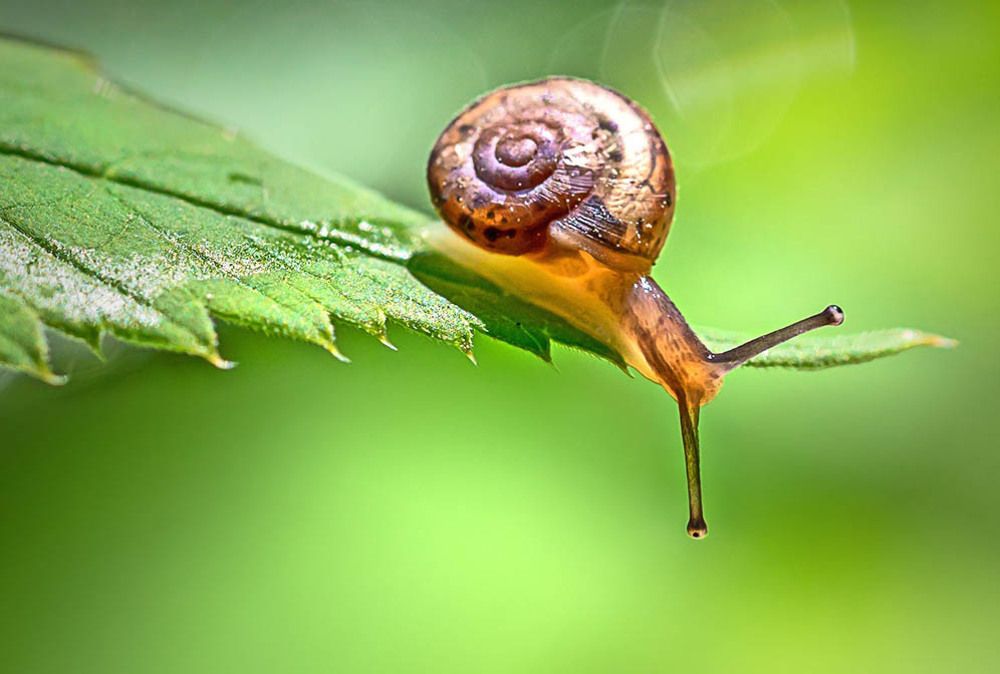 Фотография автора Andrey Pristyazhnyuk