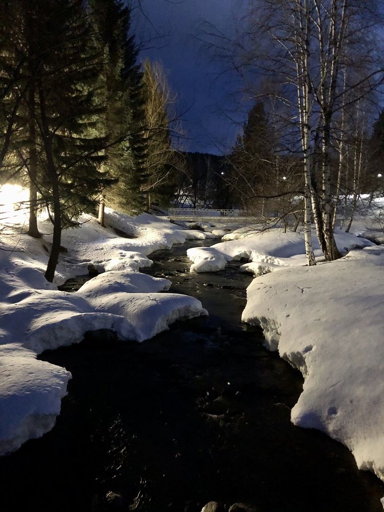 Photograph by Anna Gapanovich