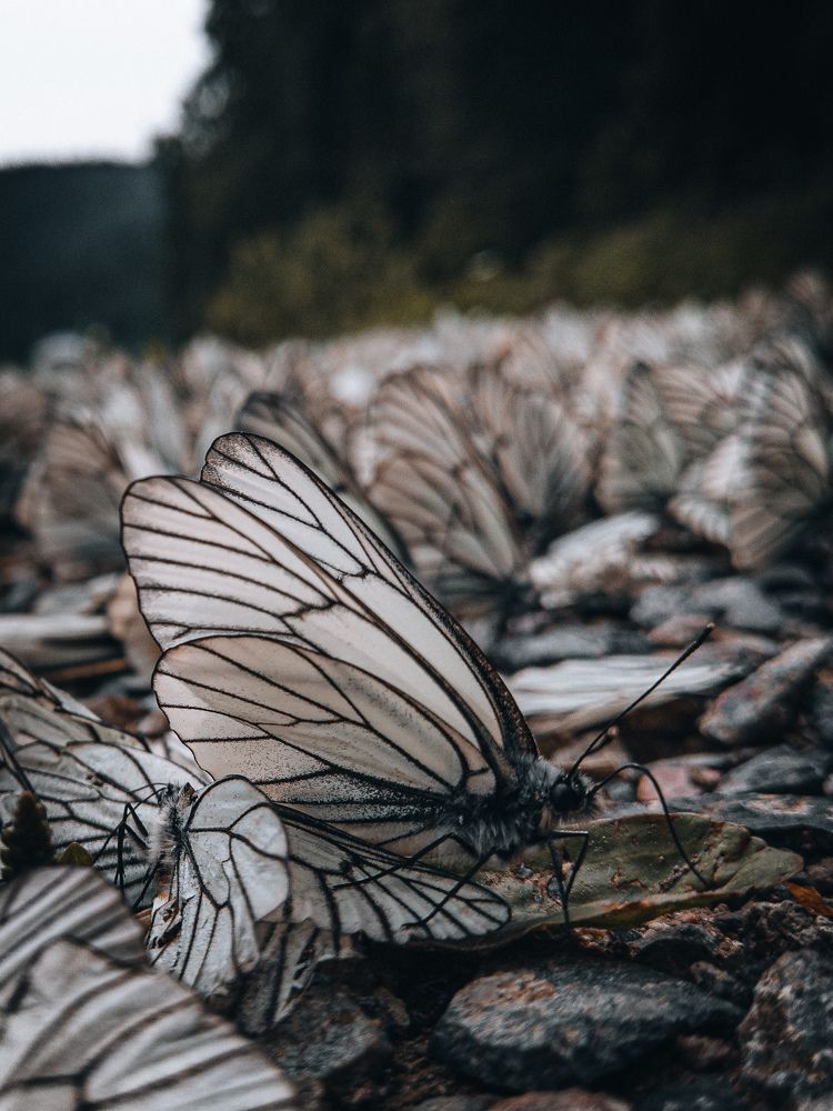 Photograph by Ярослав Саватейкин