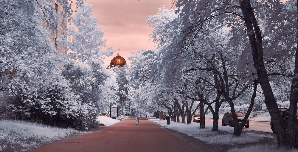 Фотография автора Александр Медведев