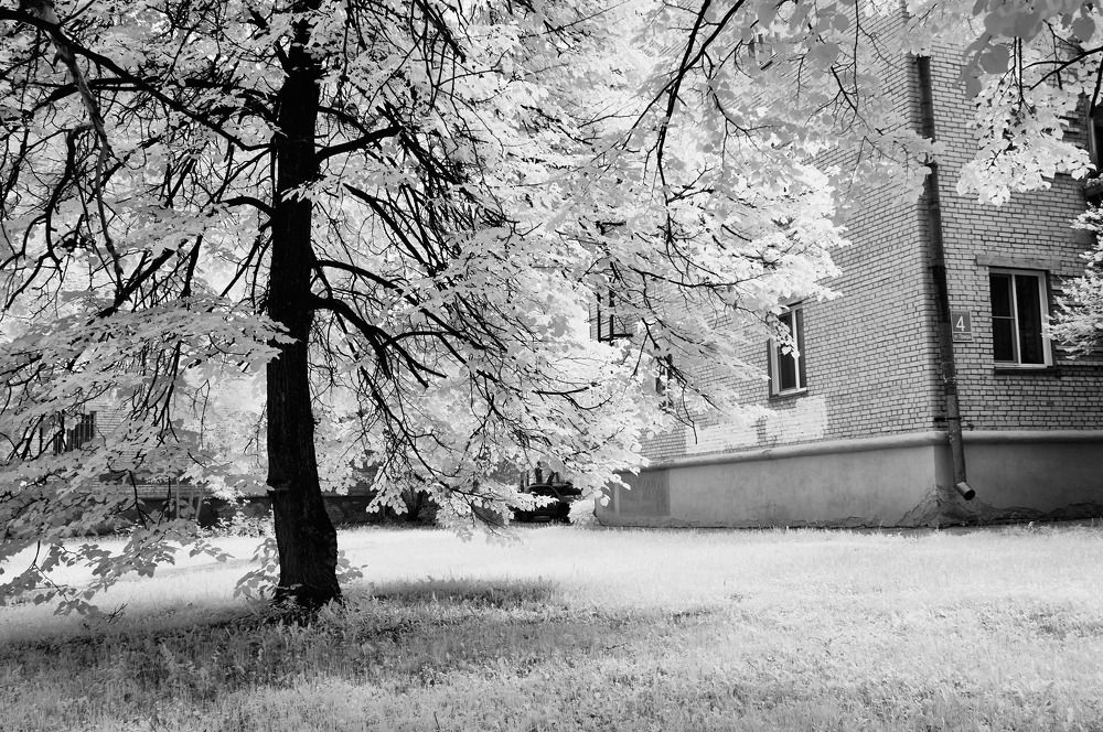 Фотография автора Александр Медведев