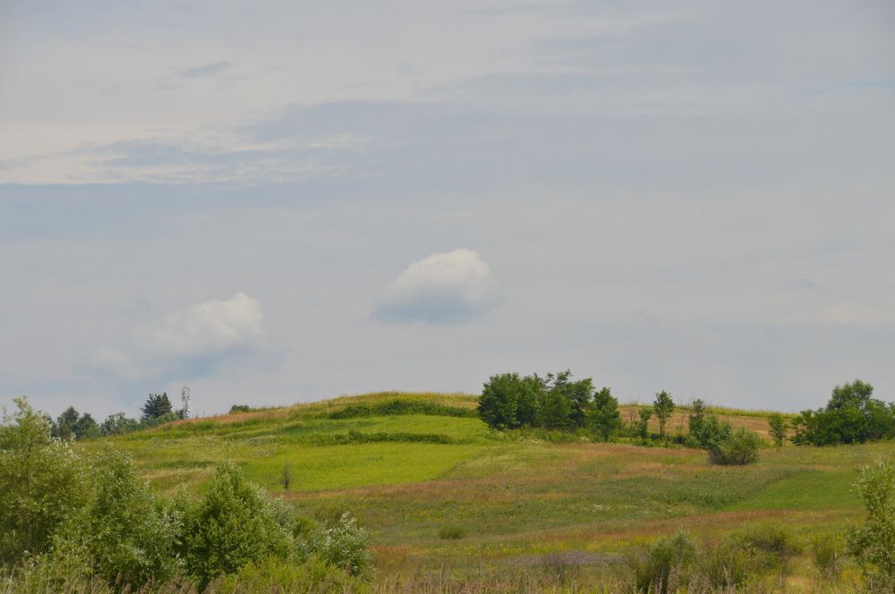 Landscape around the mine