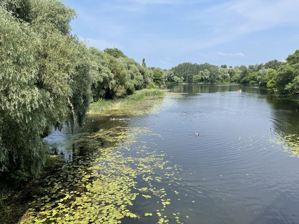 Photograph by Маргарита Венсил.