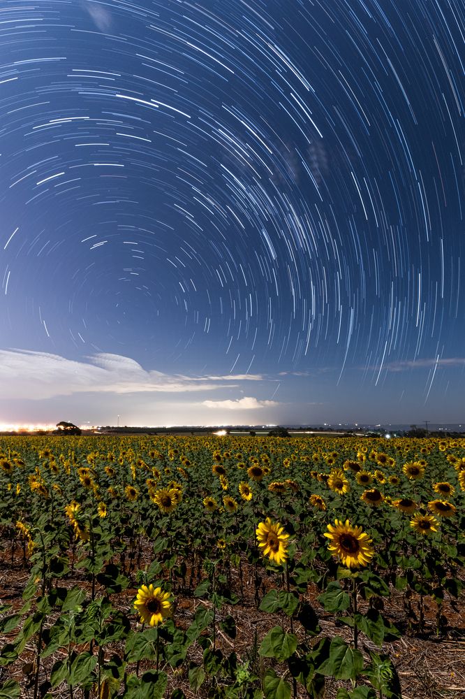 Watching the world go round