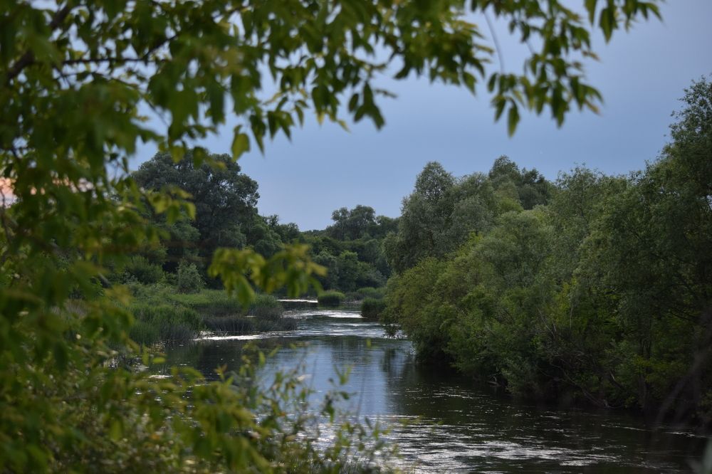 Вниз по реке.