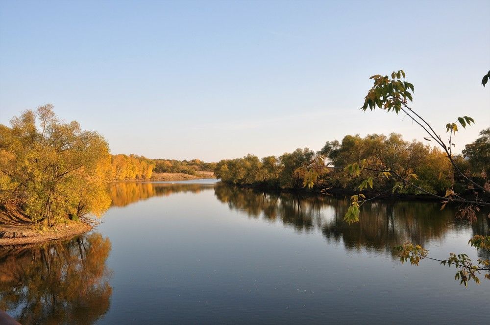 Вот и осень пришла.