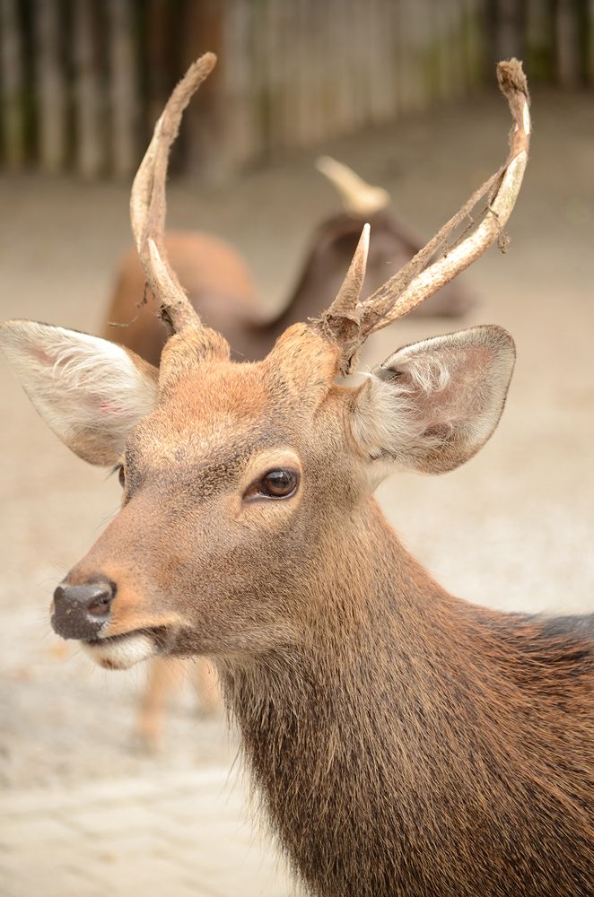 Photograph by Liliana Grup