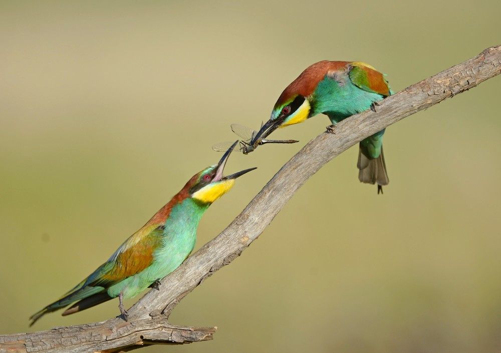 Photograph by Андрей Шварев