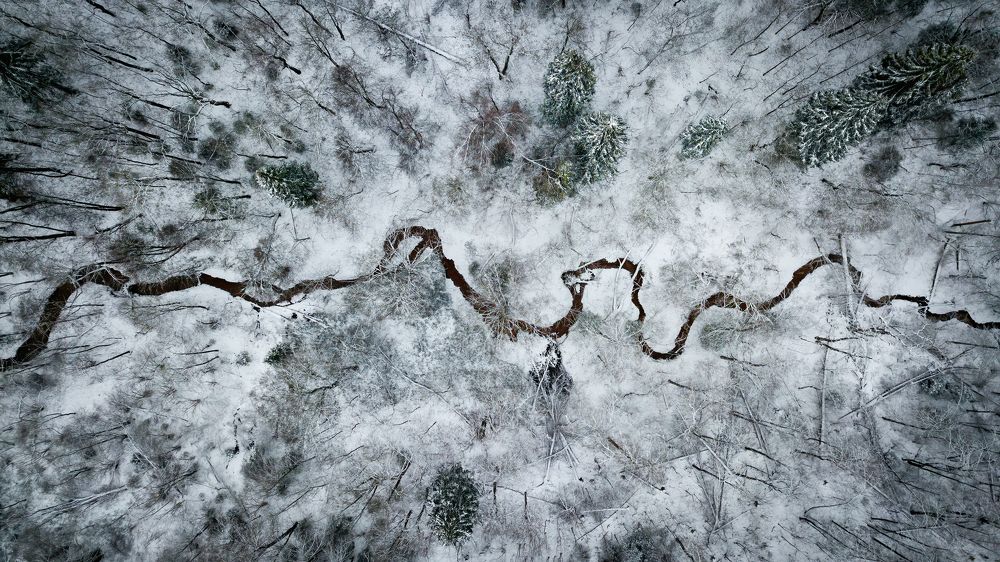 Photograph by Oleg Polyakov